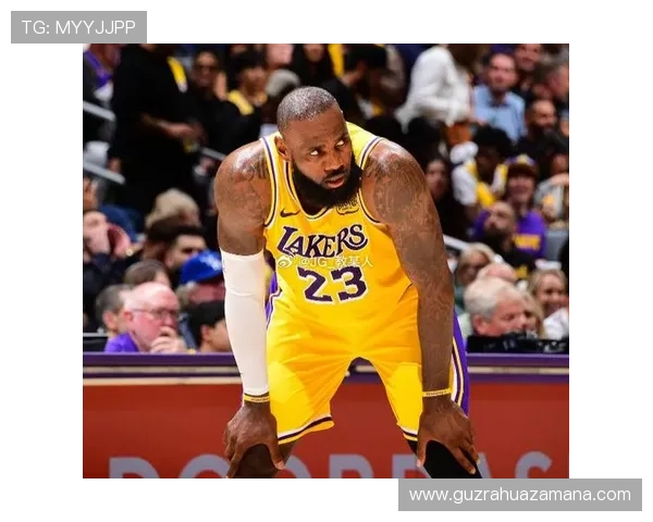 湖人训练营新人表现抢眼主帅盛赞球队状态上佳信心倍增