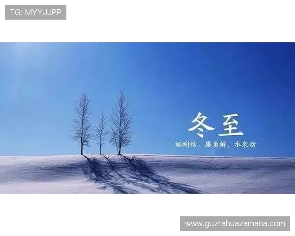 在时间与风雨之间看见坚持最动人的力量与温度与希望同行的故事