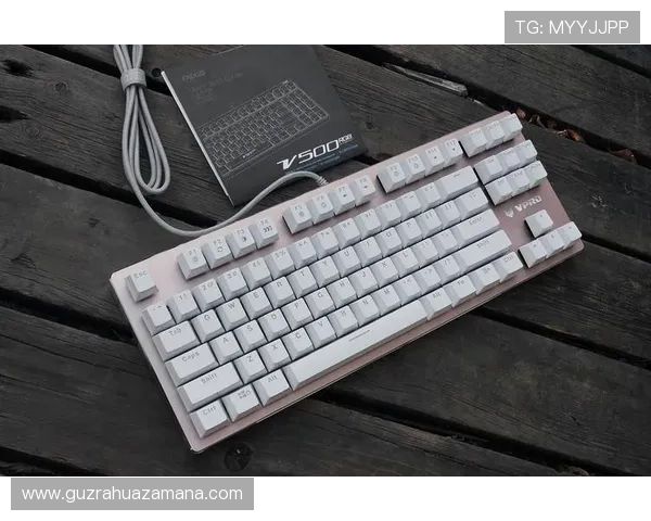 新赛季电竞大小局投注技巧全面解析轻松读懂主流电竞盘口规则要点