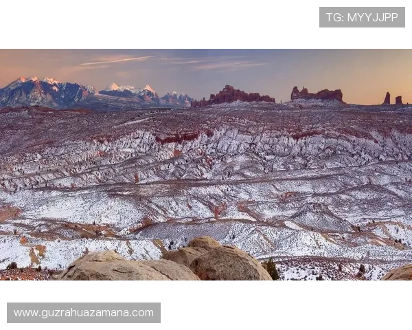 本周高阶视角解析世界杯主客场与场地因素对胜负影响战术走势研判