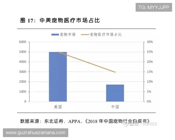 vwin体育平台发展与体育赛事资讯整合及行业趋势深度解析研究